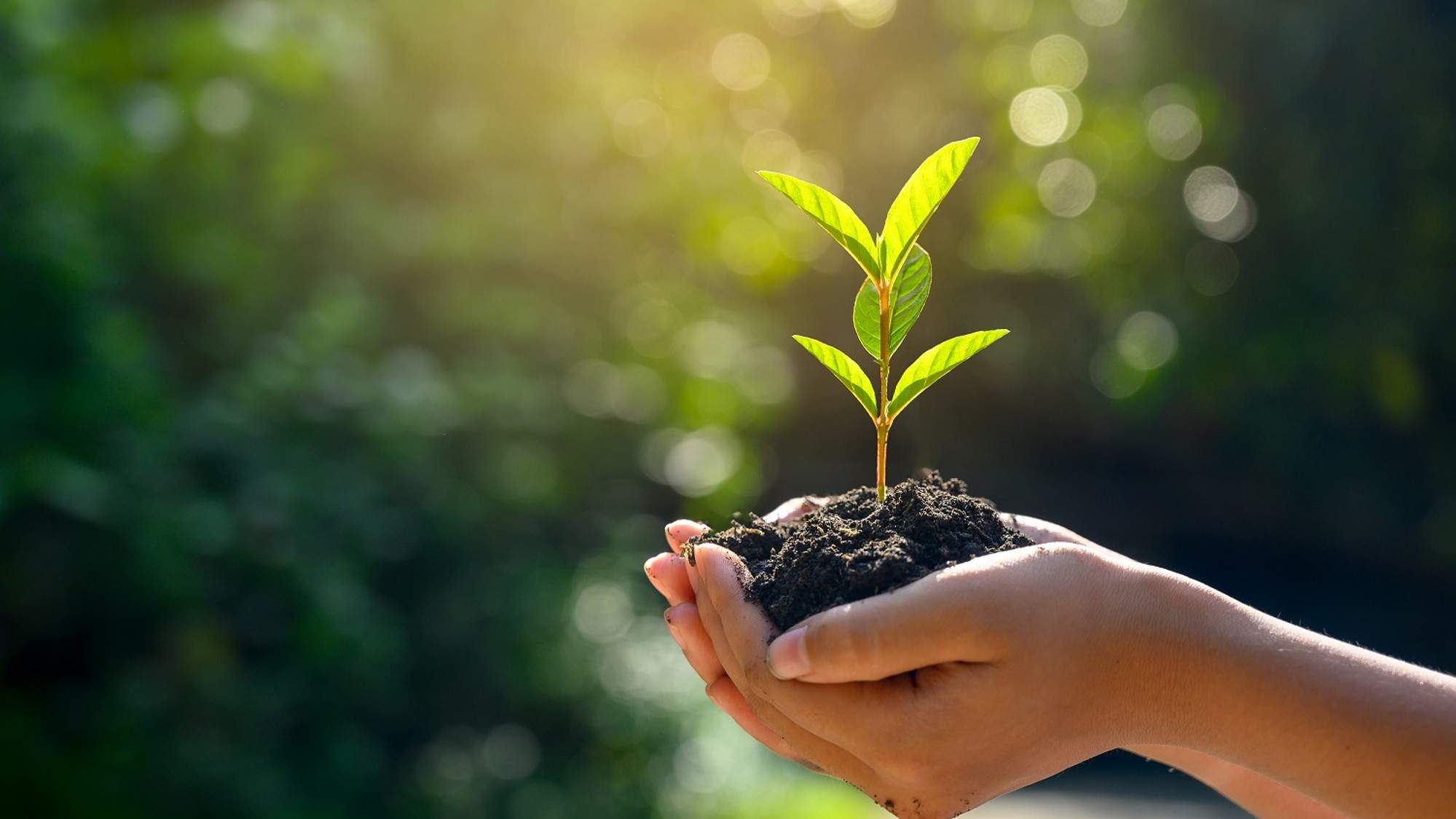 Bradken Carbon Neutral by 2030