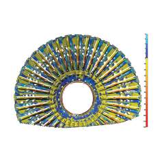 Vision Insight® Monitoring & Reporting Detailed Information